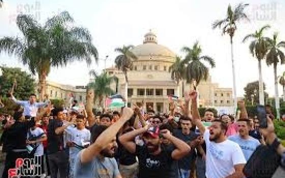 جامعة القاهرة تفصل طالبًا بسبب نشاطه الداعم لفلسطين..أنصار فلسطين يستهدفون معرض أسلحة في هولندا