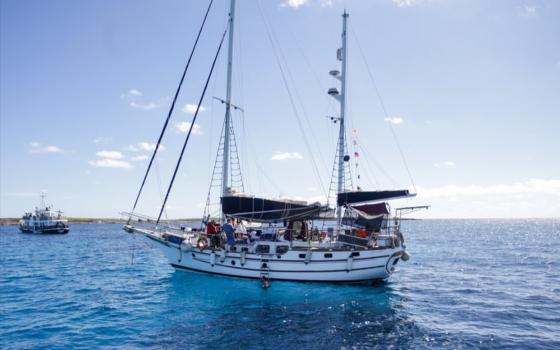 أسطول الصمود العالمي يعلن فتح باب التسجيل للمتخصصين لدعم تجهيز أسطول جديد  