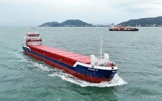 "لا لسفن الإبادة"..  بورسعيد تستقبل سفينة “هولغر جي” المحملة بأسلحة للاحتلال