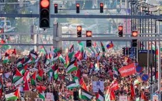 حظرنا تصدير ونقل الأسلحة إلى إسرائيل والتي تستخدم في فلسطين  