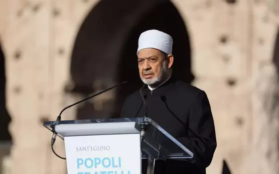 شيخ الأزهر: القضية الفلسطينية بلغت حدا من الظلم لا يقبل الحياد