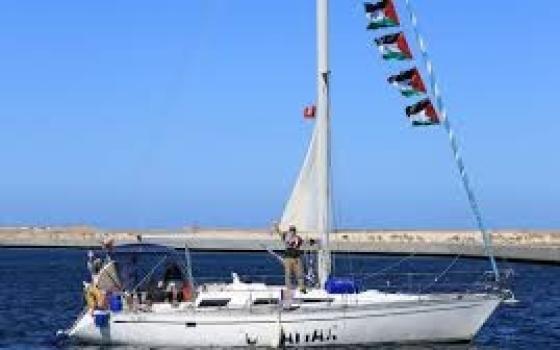 تنزيل - 2026-02-19T111252.700.jfif