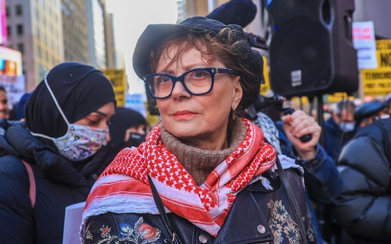 “أجساد تتبخر”..  سوزان ساراندون” تندد” بالدعم العسكري الأمريكي للاحتلال