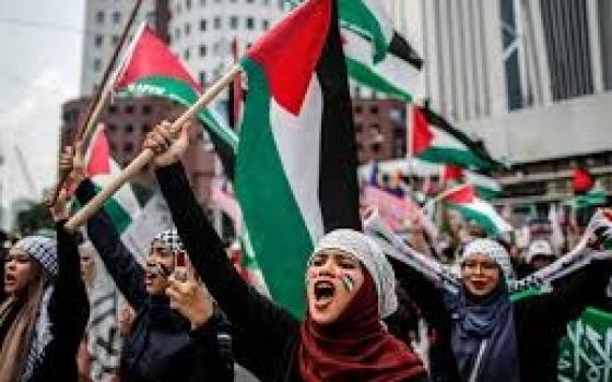 نصرًة لغزة .. أنصار فلسطين في الهند يدعون لمواصلة التحركات التضامنية