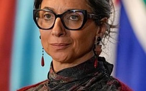 بعد اتهامها بمعاداة السامية .. استمرار حملات الدعم العالمية لألبانير