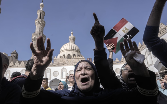 ستمر عبر مصر  مطالبات شعبية بمنع عبور شحنة فولاذ للاحتلال