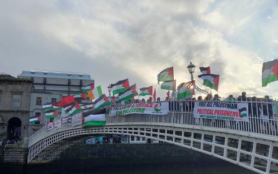 رغم محاولات منعها.. الحكومة الأيرلندية تُصدّر شحنة مواشي بقيمة 7.5 مليون يورو