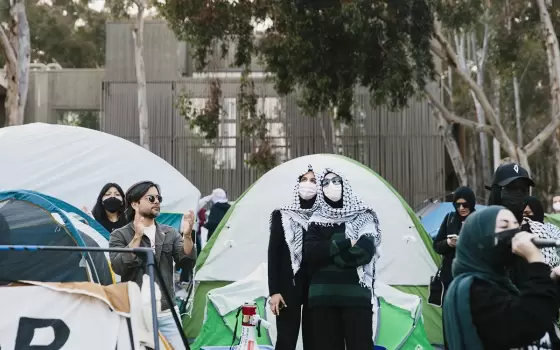 لدعمهم فلسطين  أكاديميون في جامعات أمريكية يواجهون إجراءات تأديبية