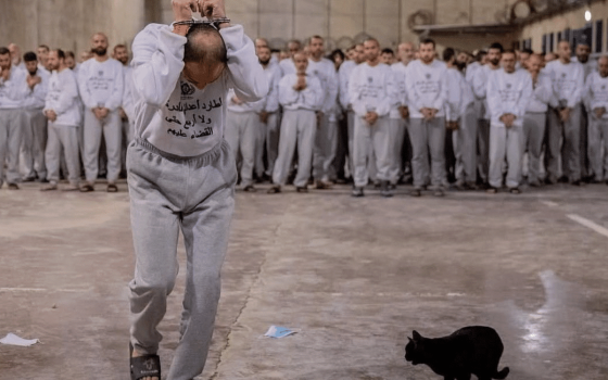 تنديدًا بالقانون العنصري.. “التضامن الأيرلندي” تُطلق حملة إلكترونية تضامنًا مع الأسرى