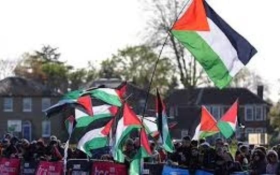 "أوقفوا الإبادة"  فعالية رياضية في أيرلندا دعمًا لغزة