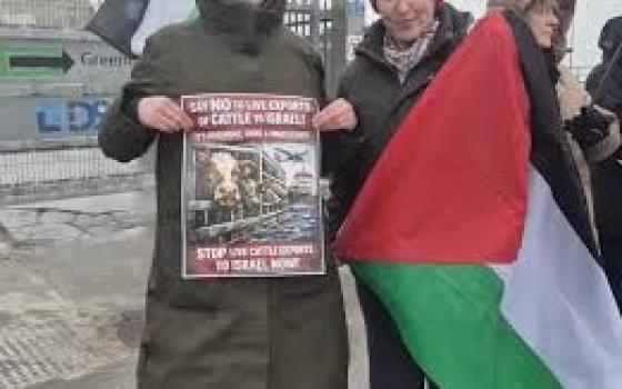 وقفة احتجاجية في أيرلندا تنديدًا بتصدير ماشية إلى إسرائيل