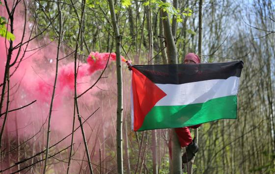 صورة تعبيرية