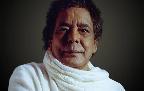 محمد منير، فنان مصري