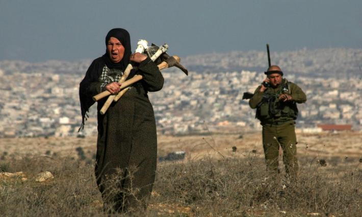 غاليسيا.. حركة المقاطعة تدين تصاعد هجمات المستوطنين ضد الفلسطينيين