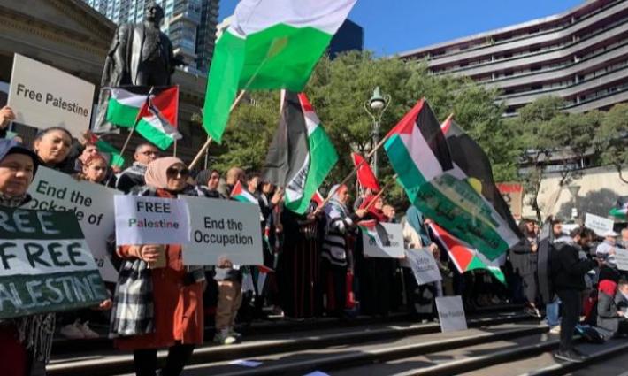 نشرة "أخبار مقاطعة"