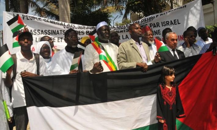 نشرة "أخبار مقاطعة"