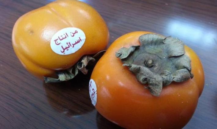 وزير الزراعة الأردني يثير الجدل بعد تصريحات تطبيعية