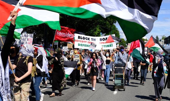 نشرة أخبار "مقاطعة"