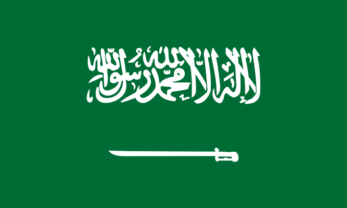 ناشطون يطالبون السعودية بالإفراج عن المناهضين للتطبيع