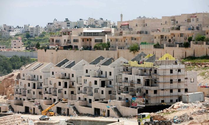 القاهرة.. حركة المقاطعة تدعو إلى العمل ضد الشركات الداعمة للاحتلال الإسرائيلي