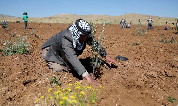 حملة أميركية تدين سيطرة الاحتلال الإسرائيلي على الموارد الطبيعية في فلسطين