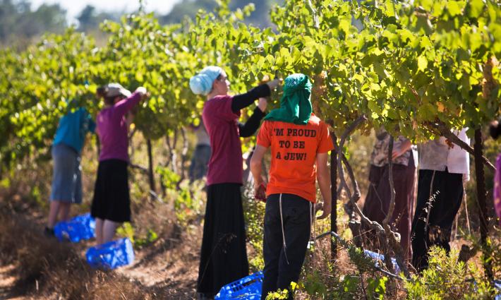 أنقرة.. حركة المقاطعة تدعو للضغط على الاتحاد الأوروبي لحظر منتجات المستوطنات