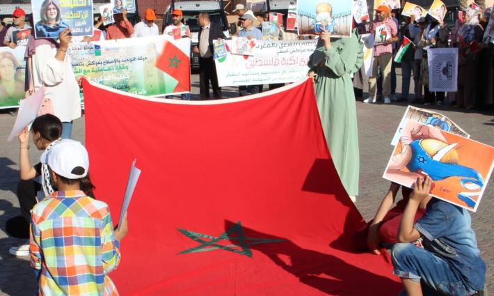 نشرة "أخبار مقاطعة"