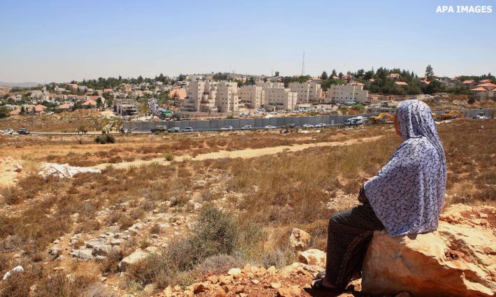 حركة المقاطعة تدعو كلية أميركية لوقف تعاملها مع شركات داعمة للاحتلال الإسرائيلي