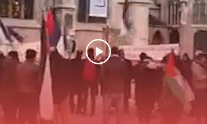 النمسا.. وقفة احتجاجية ضد تجريم التضامن مع فلسطين