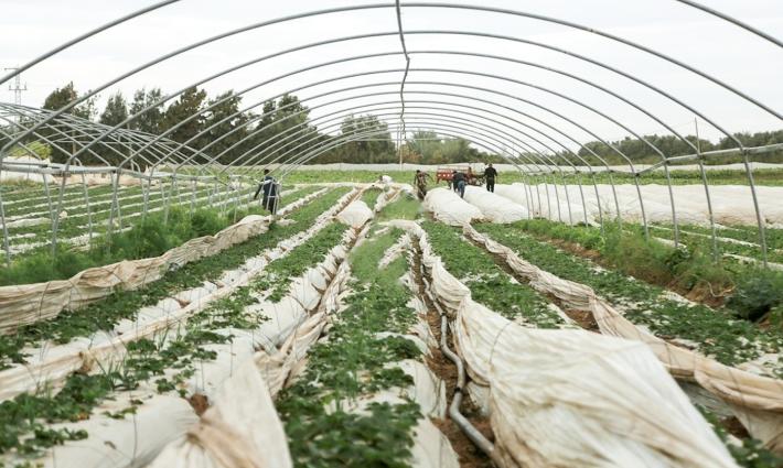 حركة المقاطعة تستنكر هيمنة الاحتلال الإسرائيلي على الموارد الطبيعية الفلسطينية