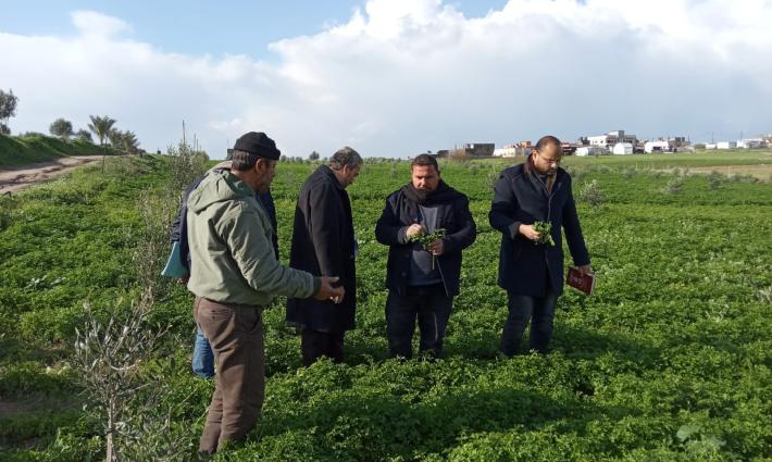 بلفاست.. حركة المقاطعة تدين اعتداء الاحتلال على الأراضي الزراعية بغزة