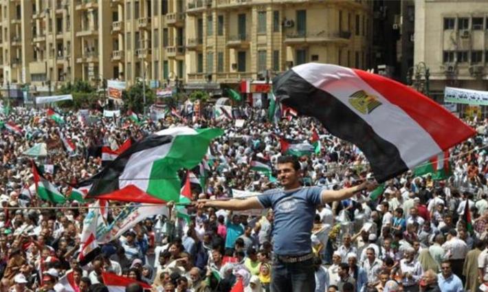 نشرة "أخبار مقاطعة"