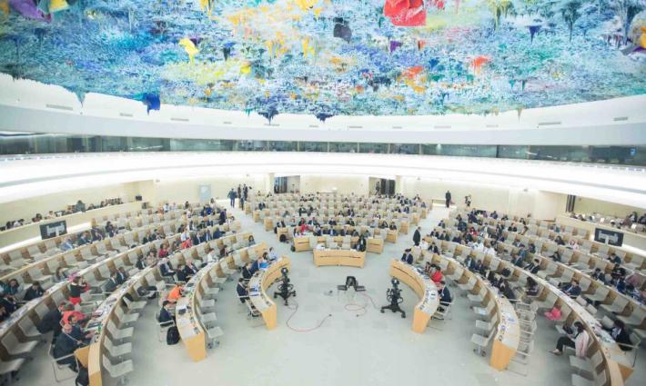 مركز القاهرة يطالب بإصلاح لجان في الأمم المتحدة لمواجهة الفصل العنصري الإسرائيلي