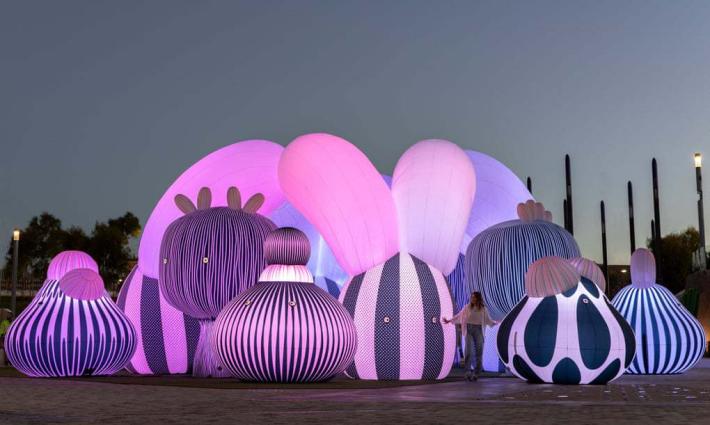 نشرة “أخبار مقاطعة”