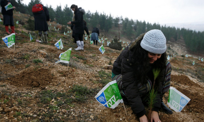 حملة تضامن تطالب النائب العام البريطاني بالتحقيق في نشاط مؤسسة إسرائيلية