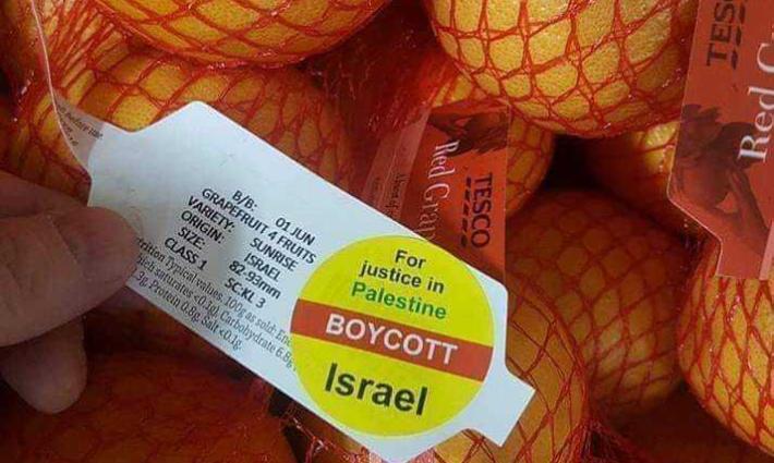 حملة أيرلندية تدعو الأحزاب المنتخبة لحظر استيراد سلع المستوطنات الإسرائيلية