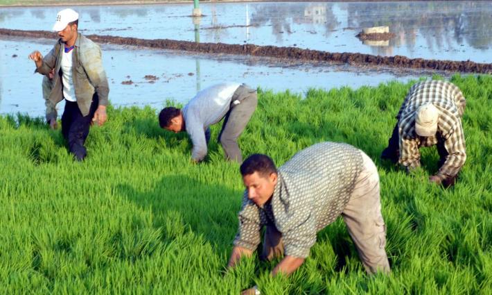 اختراق لا تطبيع