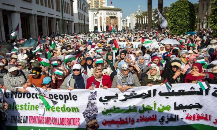 نشرة "أخبار مقاطعة"