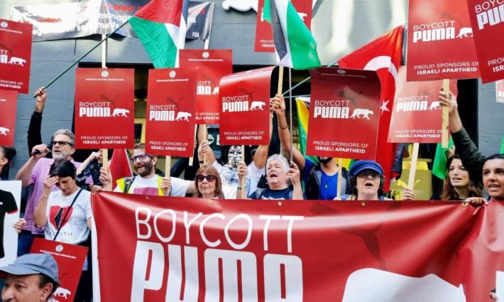 نشرة "أخبار مقاطعة"