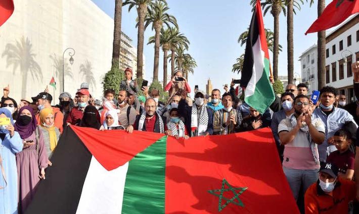 نشرة "أخبار مقاطعة"