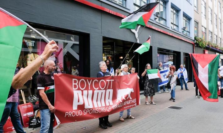 نشرة "أخبار مقاطعة"