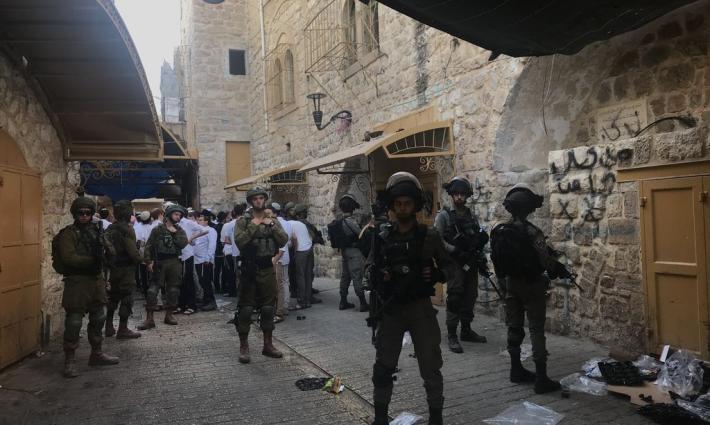 حركة التضامن الدولي تدين اعتداءات المستوطنين على أهالي الخليل