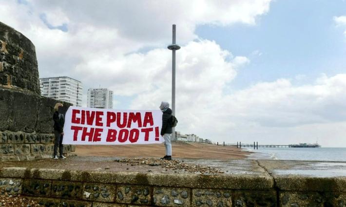 حملة التضامن مع فلسطين تدعو للعمل ضد شركة "بوما"