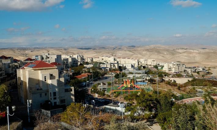 حركة المقاطعة تدعو للعمل ضد شركة "تريب أدفايزر"