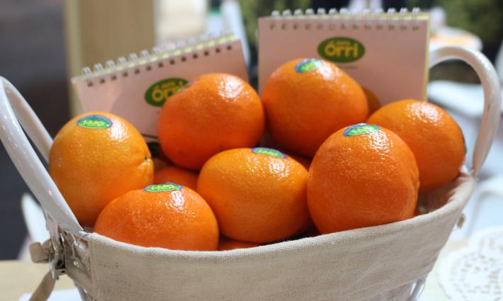 حملة أيرلندية تدعو لمقاطعة منتجات الاحتلال الإسرائيلي