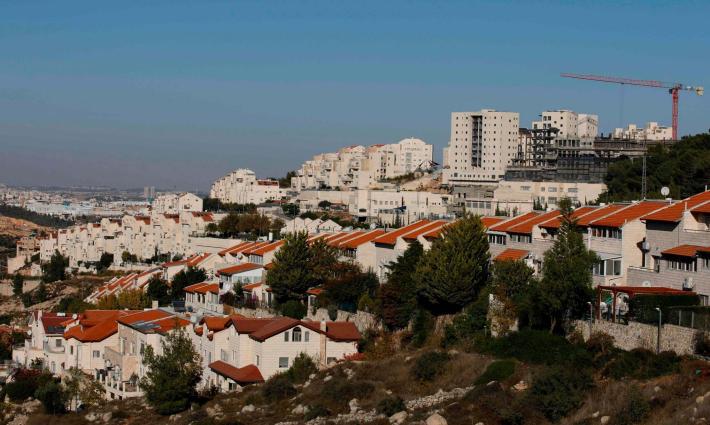 حركة المقاطعة تدعو للعمل ضد شركة تريب أدفايزر