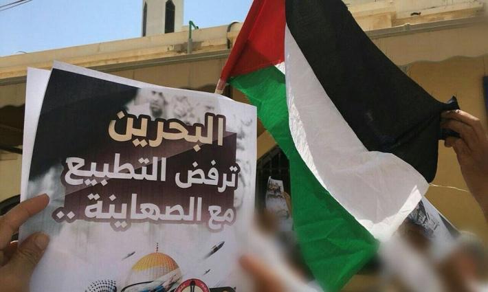 نشرة "أخبار مقاطعة"