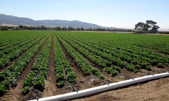 المقاطعة تدعو للعمل ضد شركة "Netafim" الإسرائيلية المتخصصة بالتكنولوجيا الزراعية