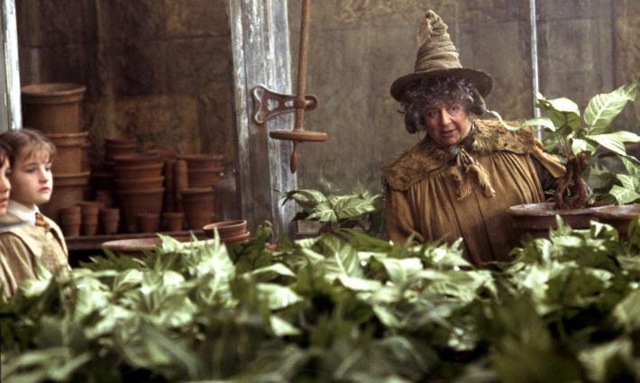 النجمة البريطانية ميريام مارغوليس تتضامن مع فلسطين بعد إيما واتسون