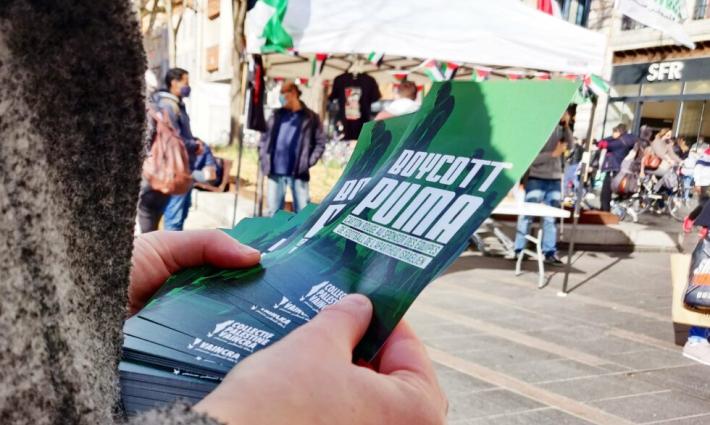 نشرة "أخبار مقاطعة"